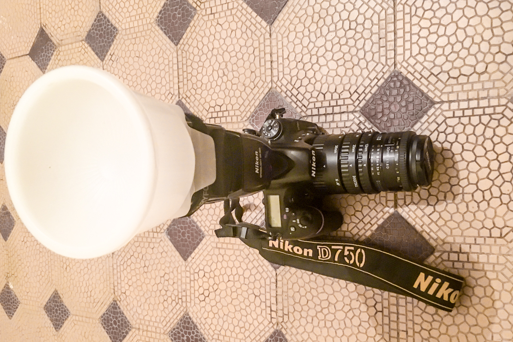 macro lens vs extension tube