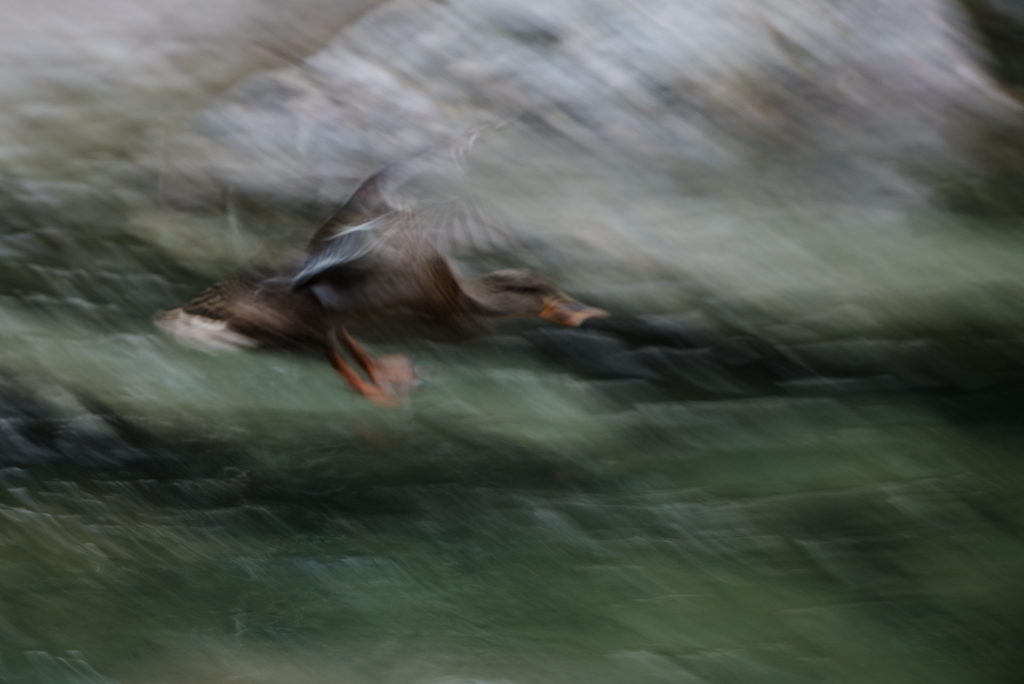 play around with long time exposure