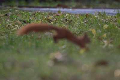 out of focus
